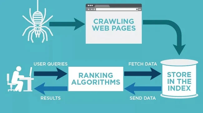 What is a Web Crawler, and How Does it Impact SEO and Organic Marketing?