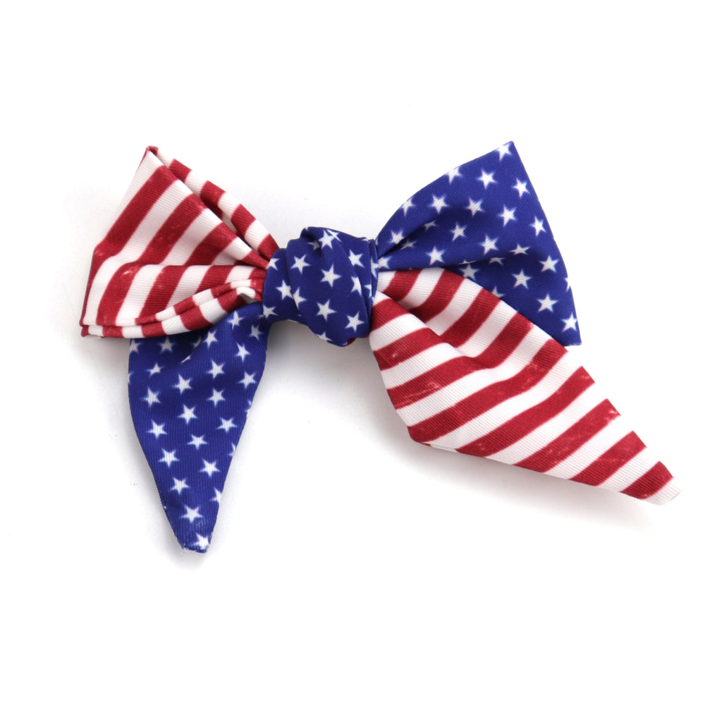 
                      
                        Little Love Bug Bows Little Love Bug Co. Pinwheel Patriotic 
                      
                    