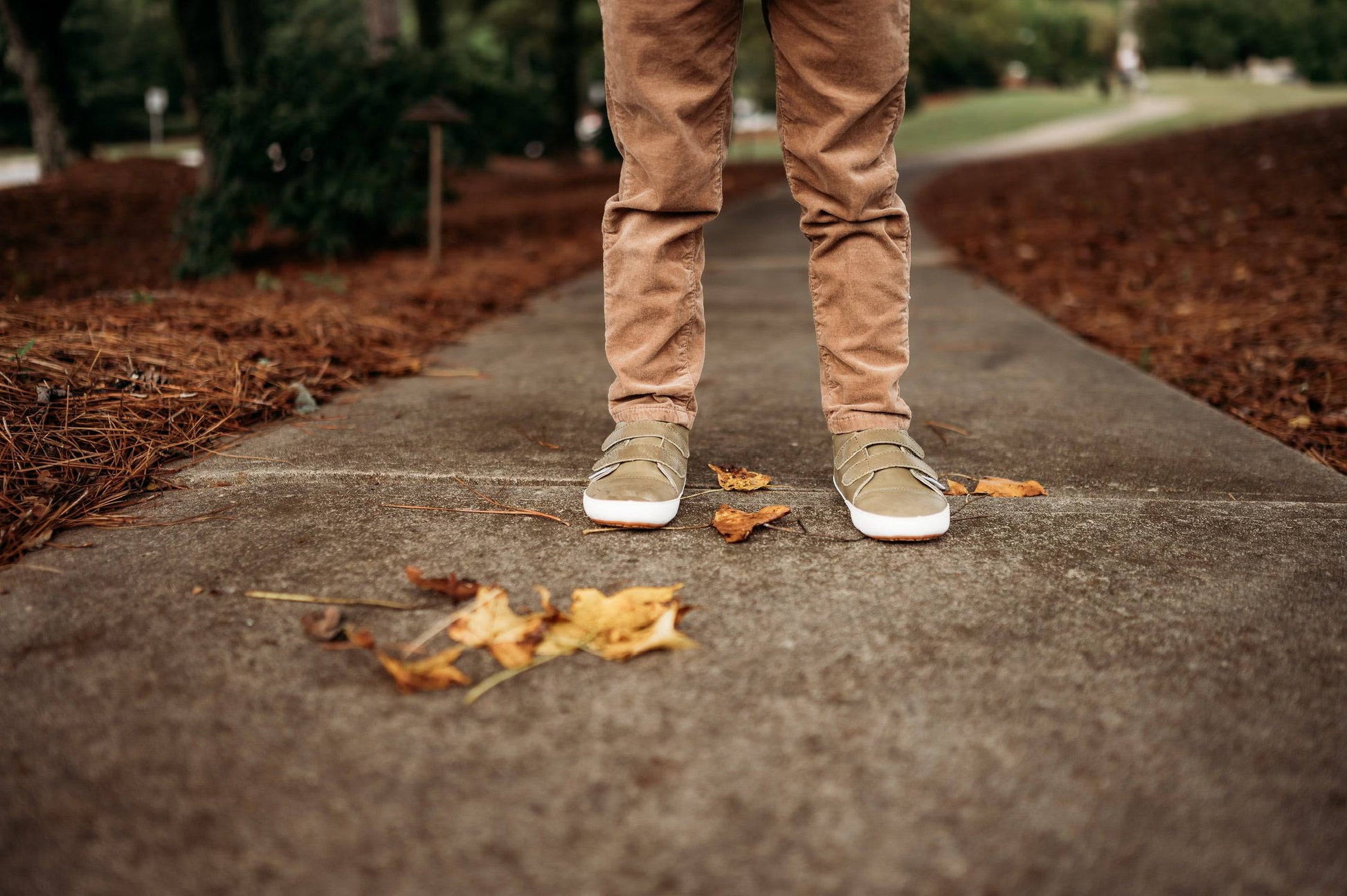 The Patterned Low Tops - Little Love Bug Co.