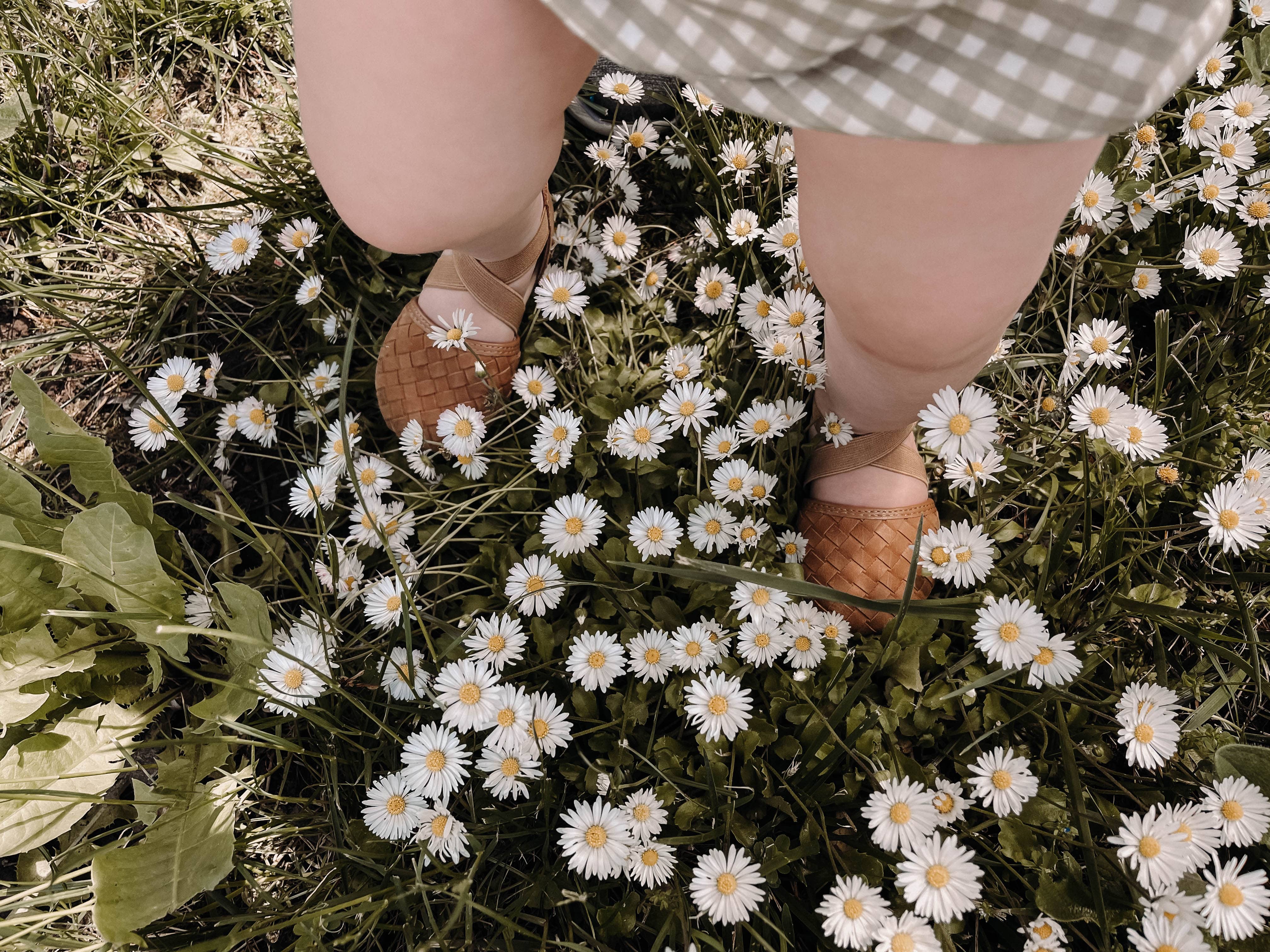 Desert Sand Tinley Sandal Sandal Little Love Bug Co. 