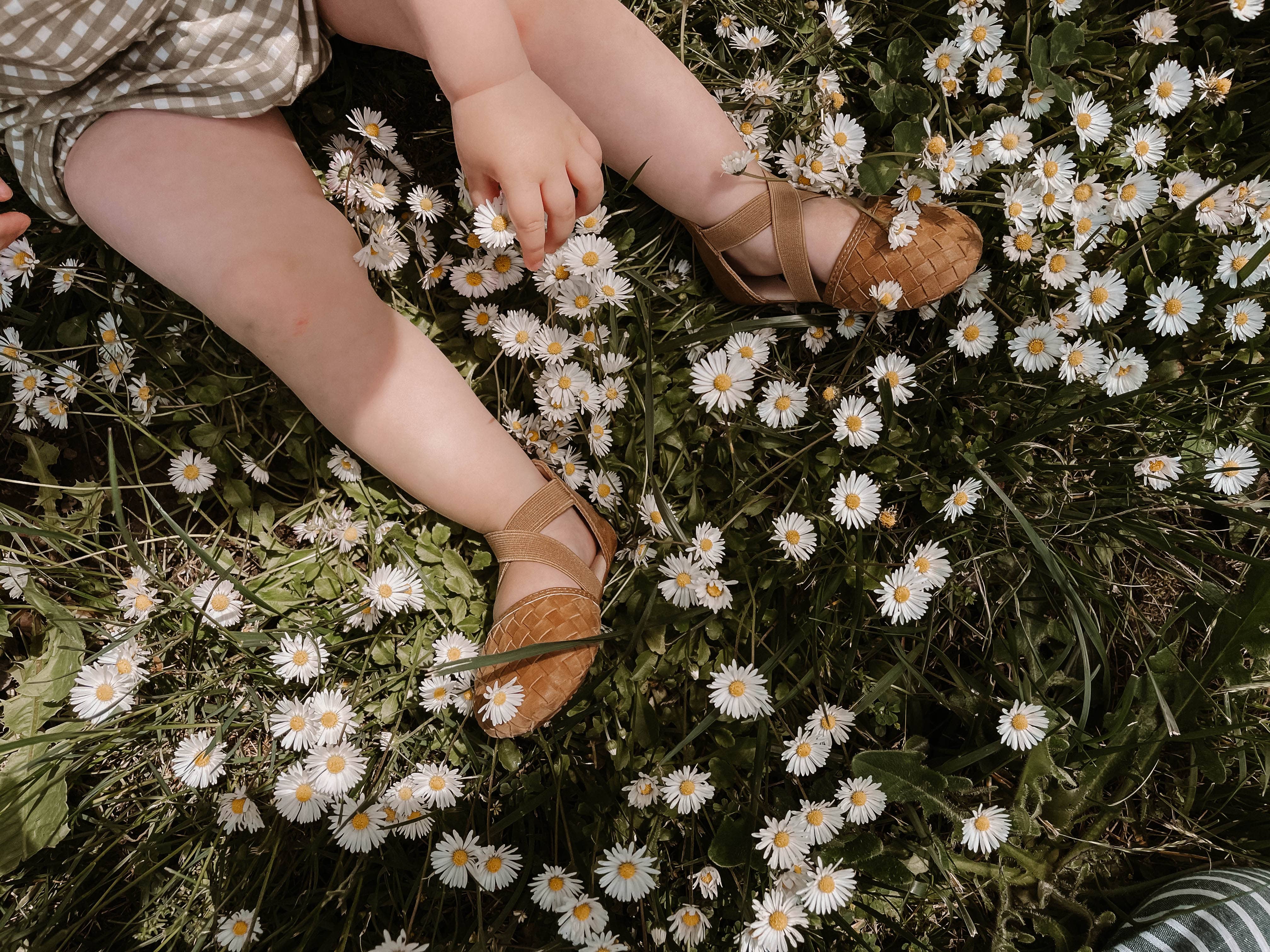 Desert Sand Tinley Sandal Sandal Little Love Bug Co. 